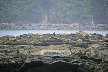 Playa de Viodo