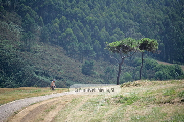 Senda Costera del Cabo Peñas