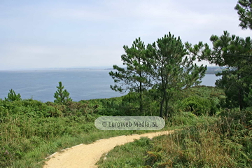 Senda Costera del Cabo Peñas