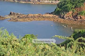 Playa El Redondel