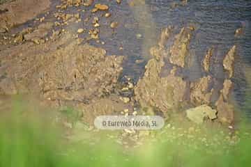 Playa El Redondel