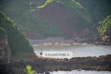 Playa El Redondel