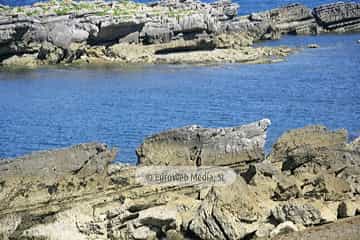 Playa de La Piscina