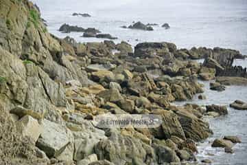 Playa de Peroño