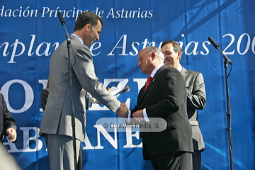 Torazo, Premio al Pueblo Ejemplar de Asturias 2008. Torazu, Premio al Pueblo Ejemplar de Asturias 2008