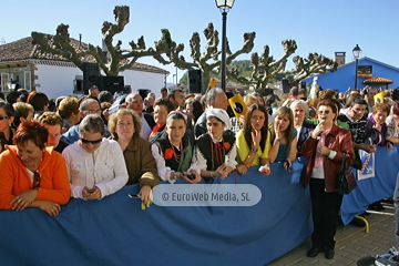 Torazo, Premio al Pueblo Ejemplar de Asturias 2008. Torazu, Premio al Pueblo Ejemplar de Asturias 2008