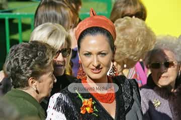 Torazo, Premio al Pueblo Ejemplar de Asturias 2008. Torazu, Premio al Pueblo Ejemplar de Asturias 2008