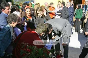 Torazo, Premio al Pueblo Ejemplar de Asturias 2008. Torazu, Premio al Pueblo Ejemplar de Asturias 2008