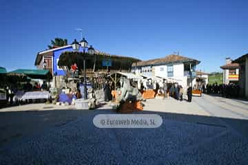 Torazo, Premio al Pueblo Ejemplar de Asturias 2008. Torazu, Premio al Pueblo Ejemplar de Asturias 2008