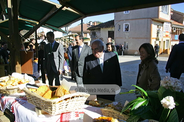 Torazo, Premio al Pueblo Ejemplar de Asturias 2008. Torazu, Premio al Pueblo Ejemplar de Asturias 2008