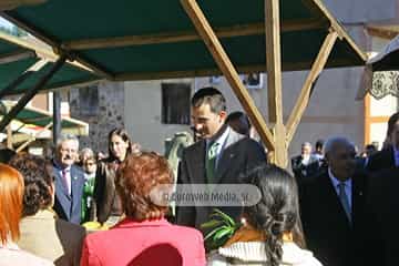 Torazo, Premio al Pueblo Ejemplar de Asturias 2008. Torazu, Premio al Pueblo Ejemplar de Asturias 2008