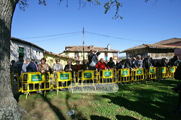 Torazo, Premio al Pueblo Ejemplar de Asturias 2008. Torazu, Premio al Pueblo Ejemplar de Asturias 2008