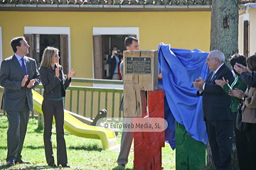 Torazo, Premio al Pueblo Ejemplar de Asturias 2008. Torazu, Premio al Pueblo Ejemplar de Asturias 2008