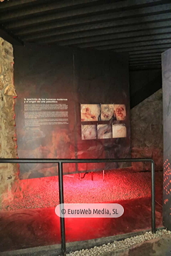 Centro de Interpretación de San Emeterio y la Cueva de El Pindal