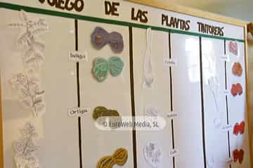 Museo del Telar en Taramundi