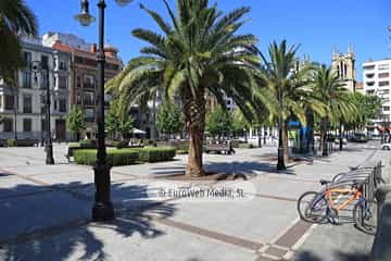 Paseo de Begoña (Gijón). Paseo de Begoña