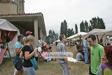 Mercado tradicional de Oles. Mercáu tradicional de Oles