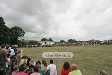 Mercado tradicional de Oles. Mercáu tradicional de Oles