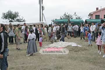 Mercado tradicional de Oles. Mercáu tradicional de Oles