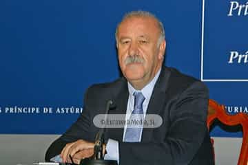 Selección Española de Fútbol, Premio Príncipe de Asturias de los Deportes 2010