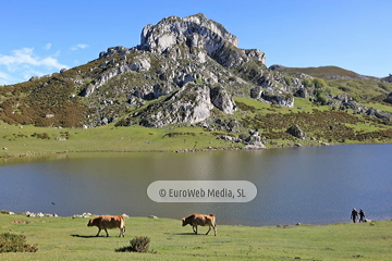 Lago de La Ercina
