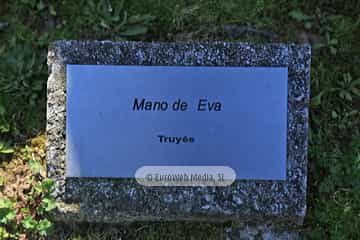 Escultura «La mano de Eva»