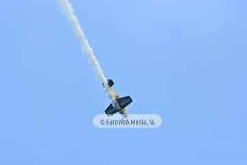 VI Festival Aéreo Ciudad de Gijón 2011