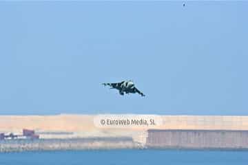 VI Festival Aéreo Ciudad de Gijón 2011