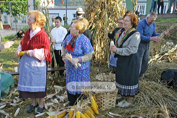 Comunidad vecinal de San Tirso de Abres, Premio al Pueblo Ejemplar de Asturias 2011. San Tirso de Abres, Premio al Pueblo Ejemplar de Asturias 2011