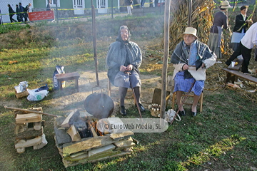 Comunidad vecinal de San Tirso de Abres, Premio al Pueblo Ejemplar de Asturias 2011. San Tirso de Abres, Premio al Pueblo Ejemplar de Asturias 2011