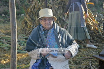 Comunidad vecinal de San Tirso de Abres, Premio al Pueblo Ejemplar de Asturias 2011. San Tirso de Abres, Premio al Pueblo Ejemplar de Asturias 2011