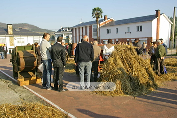 Comunidad vecinal de San Tirso de Abres, Premio al Pueblo Ejemplar de Asturias 2011. San Tirso de Abres, Premio al Pueblo Ejemplar de Asturias 2011