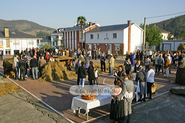 Comunidad vecinal de San Tirso de Abres, Premio al Pueblo Ejemplar de Asturias 2011. San Tirso de Abres, Premio al Pueblo Ejemplar de Asturias 2011