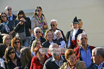 Comunidad vecinal de San Tirso de Abres, Premio al Pueblo Ejemplar de Asturias 2011. San Tirso de Abres, Premio al Pueblo Ejemplar de Asturias 2011