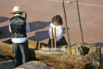 Comunidad vecinal de San Tirso de Abres, Premio al Pueblo Ejemplar de Asturias 2011. San Tirso de Abres, Premio al Pueblo Ejemplar de Asturias 2011