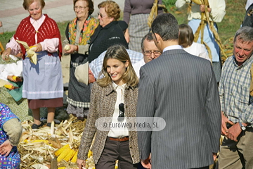 Comunidad vecinal de San Tirso de Abres, Premio al Pueblo Ejemplar de Asturias 2011. San Tirso de Abres, Premio al Pueblo Ejemplar de Asturias 2011