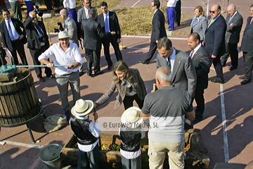 Comunidad vecinal de San Tirso de Abres, Premio al Pueblo Ejemplar de Asturias 2011. San Tirso de Abres, Premio al Pueblo Ejemplar de Asturias 2011