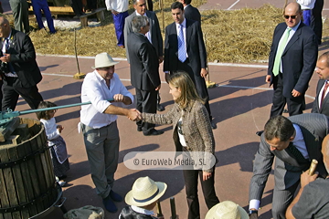 Comunidad vecinal de San Tirso de Abres, Premio al Pueblo Ejemplar de Asturias 2011. San Tirso de Abres, Premio al Pueblo Ejemplar de Asturias 2011