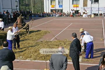 Comunidad vecinal de San Tirso de Abres, Premio al Pueblo Ejemplar de Asturias 2011. San Tirso de Abres, Premio al Pueblo Ejemplar de Asturias 2011