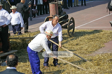 Comunidad vecinal de San Tirso de Abres, Premio al Pueblo Ejemplar de Asturias 2011. San Tirso de Abres, Premio al Pueblo Ejemplar de Asturias 2011