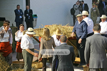 Comunidad vecinal de San Tirso de Abres, Premio al Pueblo Ejemplar de Asturias 2011. San Tirso de Abres, Premio al Pueblo Ejemplar de Asturias 2011