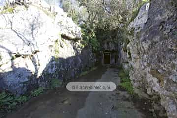 Quesería de Cabrales. Cueva Quesería La Pandiella
