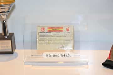 Museo Fernando Alonso