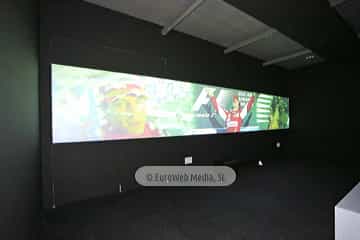 Museo Fernando Alonso