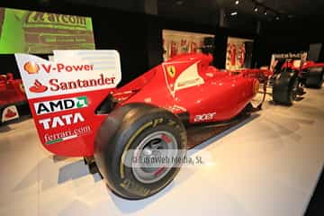 Museo Fernando Alonso