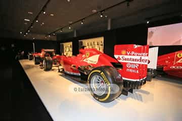 Museo Fernando Alonso