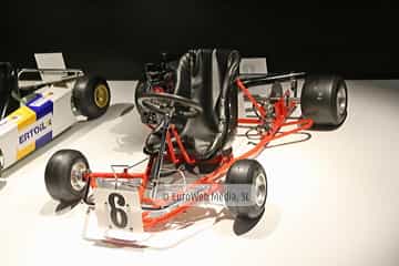 Museo Fernando Alonso
