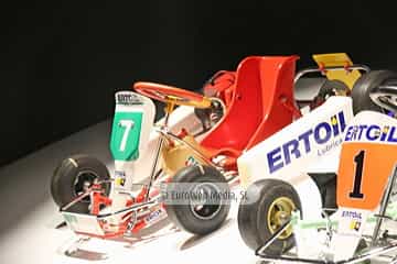 Museo Fernando Alonso