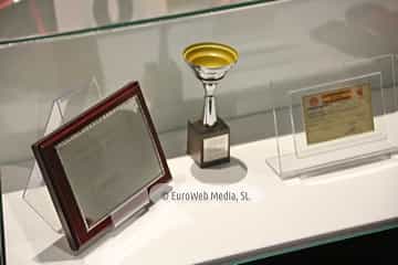 Museo Fernando Alonso