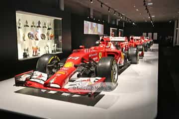 Museo Fernando Alonso